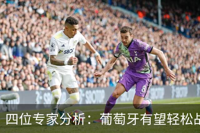 四位专家分析：葡萄牙有望轻松战胜威尔士